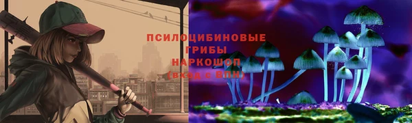 крисы Балахна