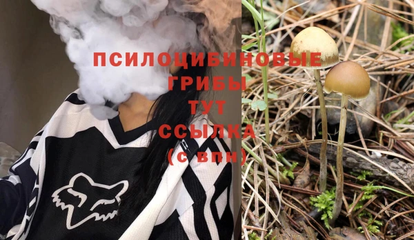 мяу мяу мука Саяногорск