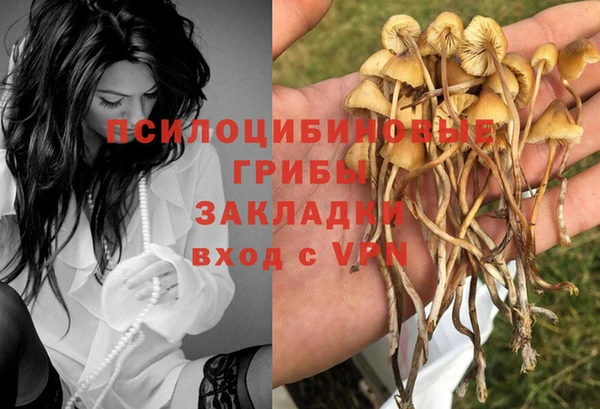 mdpv Баксан