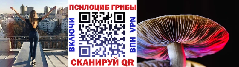 Псилоцибиновые грибы GOLDEN TEACHER  Белокуриха 